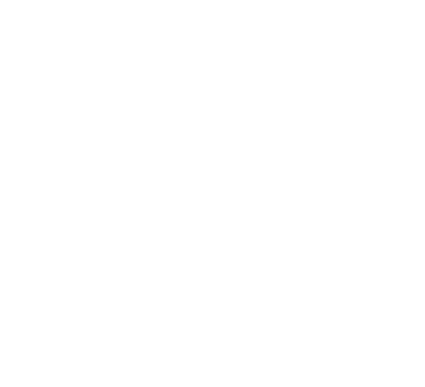 solid replacement roof panels