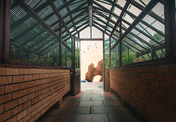 conservatory roof insulation UK